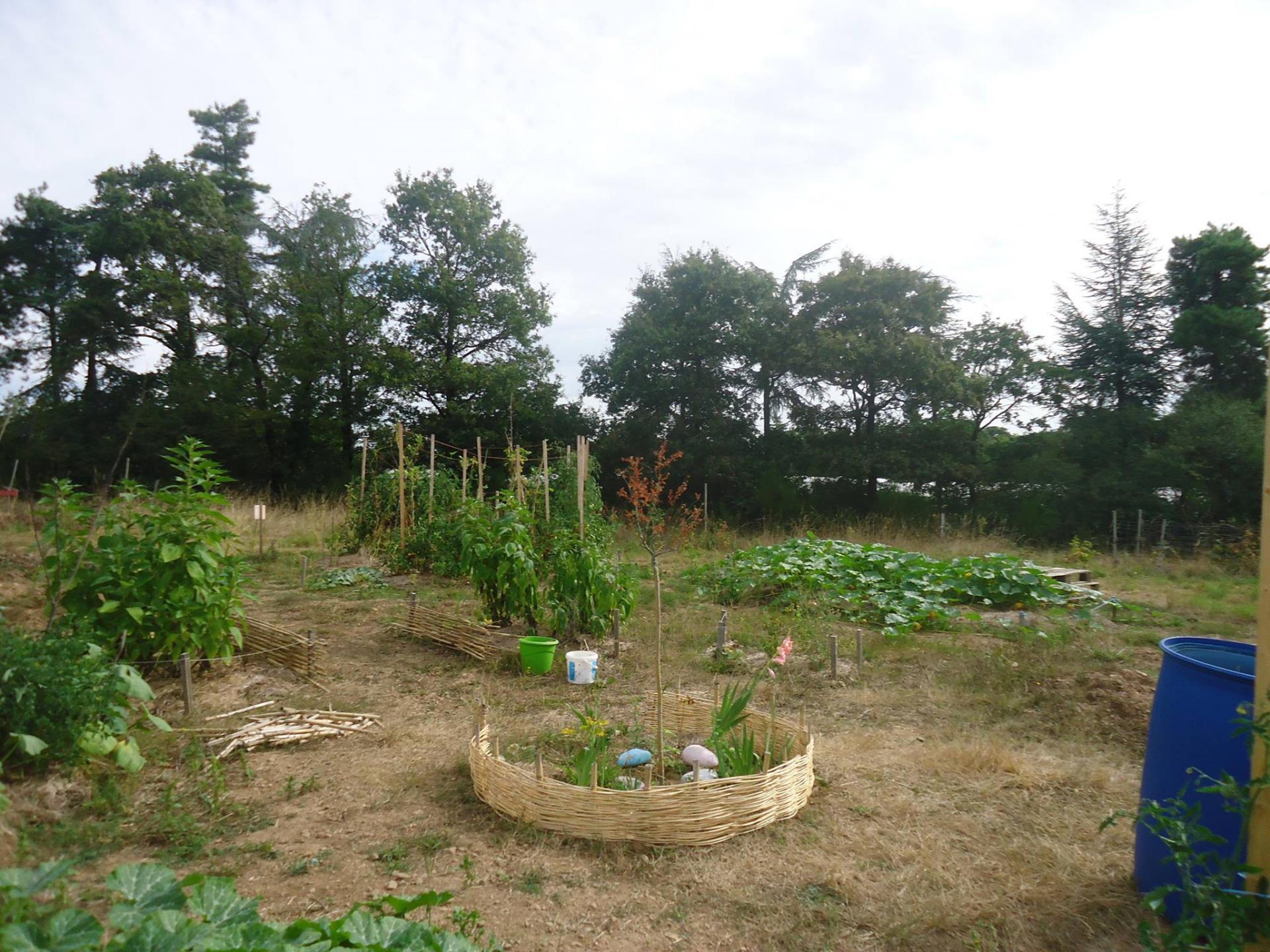 Cœur du Jardin Mandala