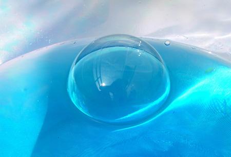 Eclosion un monde nouveau